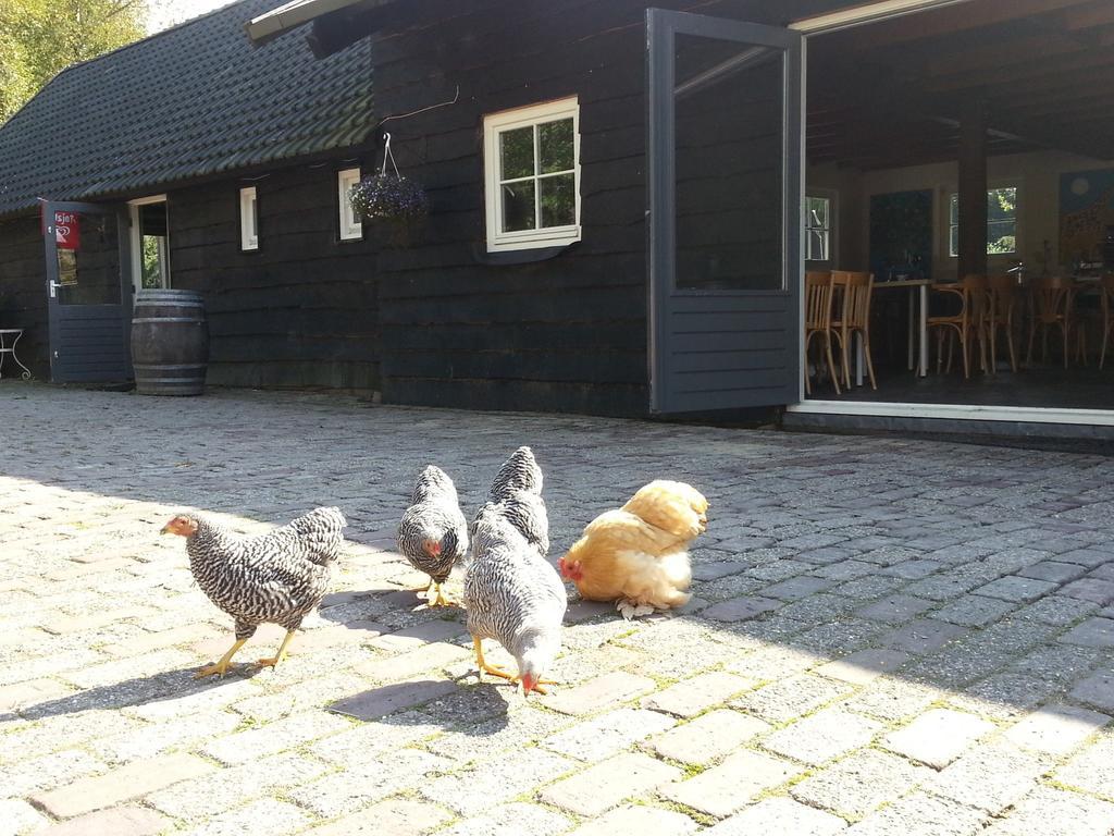 ドウィンゲロープ Het Bonte Paard Bed & Breakfast エクステリア 写真